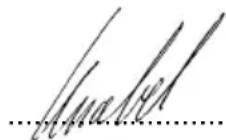 Wamsler Vista - Dichiarazione di conformità CE - 1