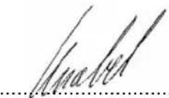 Wamsler Saturn - Dichiarazione di conformità CE - 1