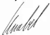 Wamsler Metropolitan - Dichiarazione di conformità CE - 1