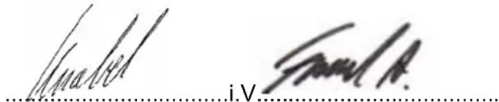 Wamsler Mars - Déclaration de conformité CE - 1