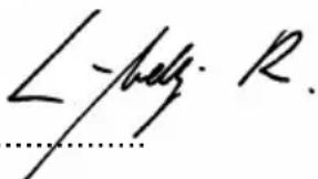 Wamsler KF 198 55 - Dichiarazione di conformità CE - 2