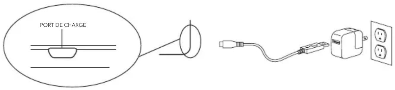 Zagg IM4BSNBBG - CHARGEMENT - 1