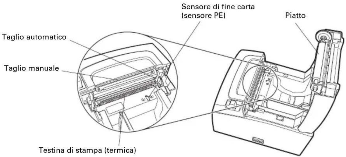 CITIZEN CTS310II - All'interno del coperchio carta - 1