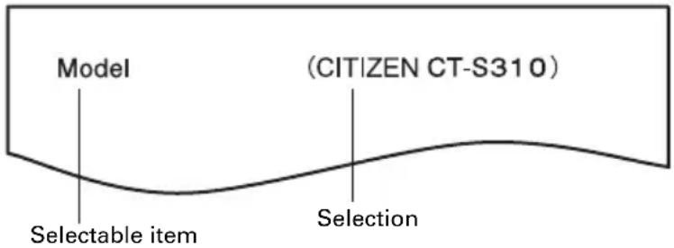 CITIZEN CTS310II - Quick setting mode - 1
