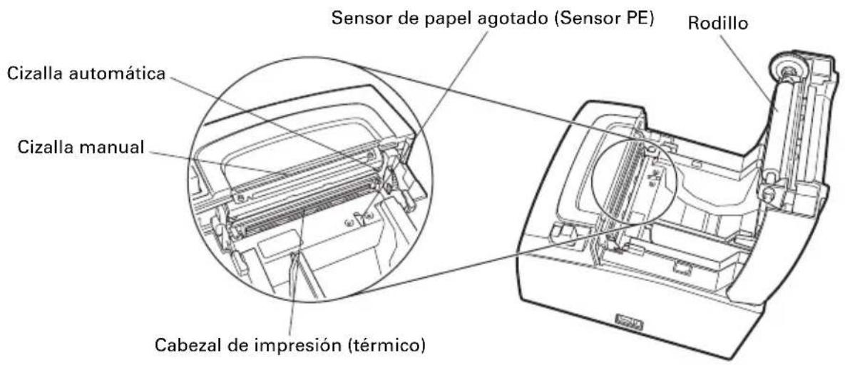 CITIZEN CTS310II - Interior de la tapa del papel - 1