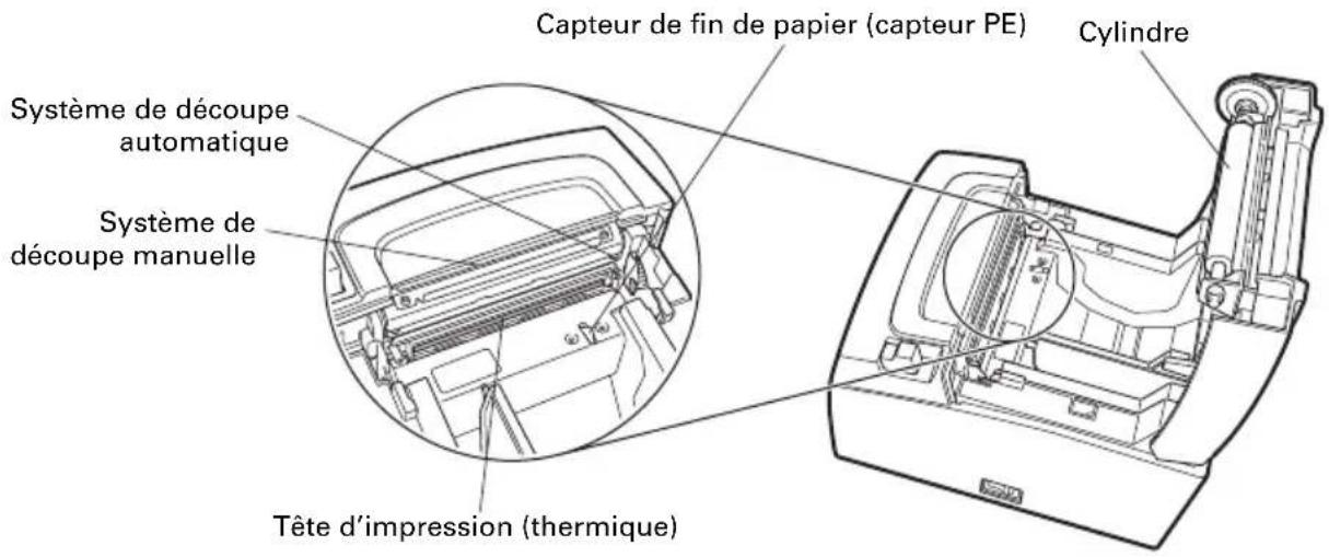 CITIZEN CTS310II - À l'intérieur du capot papier - 1