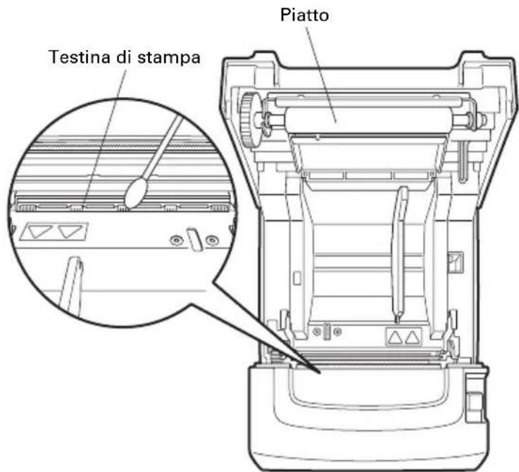 CITIZEN CTS310II - Pulizia periodica - 1
