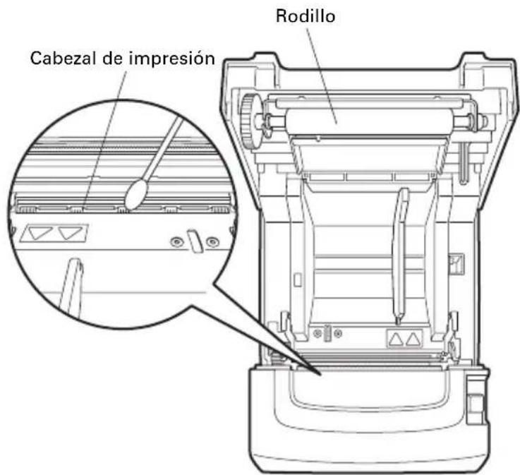CITIZEN CTS310II - Limpieza periódica - 1