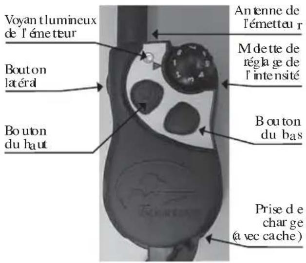 SportDOG SportTrainer 500 - Émetteur à distance - 1