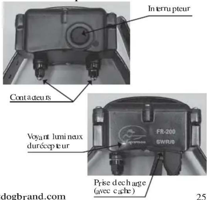 SportDOG SportTrainer 500 - Collier récepteur - 1