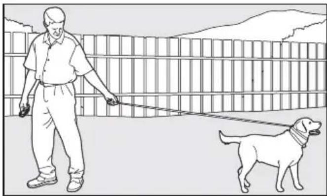 SportDOG SportTrainer 500 - L'ordre « Au pied » - 1