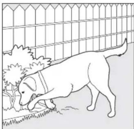 SportDOG SportTrainer 500 - Creuser - 2