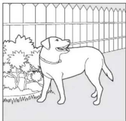 SportDOG SportTrainer 500 - Creuser - 3