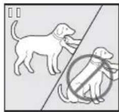 SportDOG SportTrainer 500 - Ajustement du collier récepteur - 1