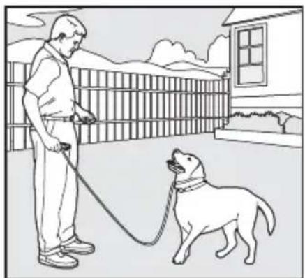 SportDOG SportTrainer 500 - Obéissance de base - 1