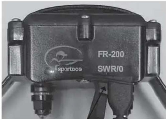 SportDOG SportTrainer 500 - Charge du collier récepteur - 1