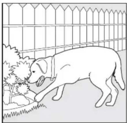 SportDOG SportTrainer 500 - Creuser - 1