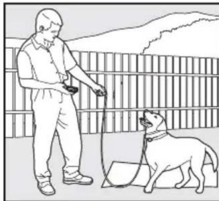 SportDOG SportTrainer 500 - L'ordre « Reste » - 2