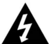 Lauson CP449 - WARNING - 2