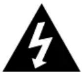 Lauson CP449 - 2
