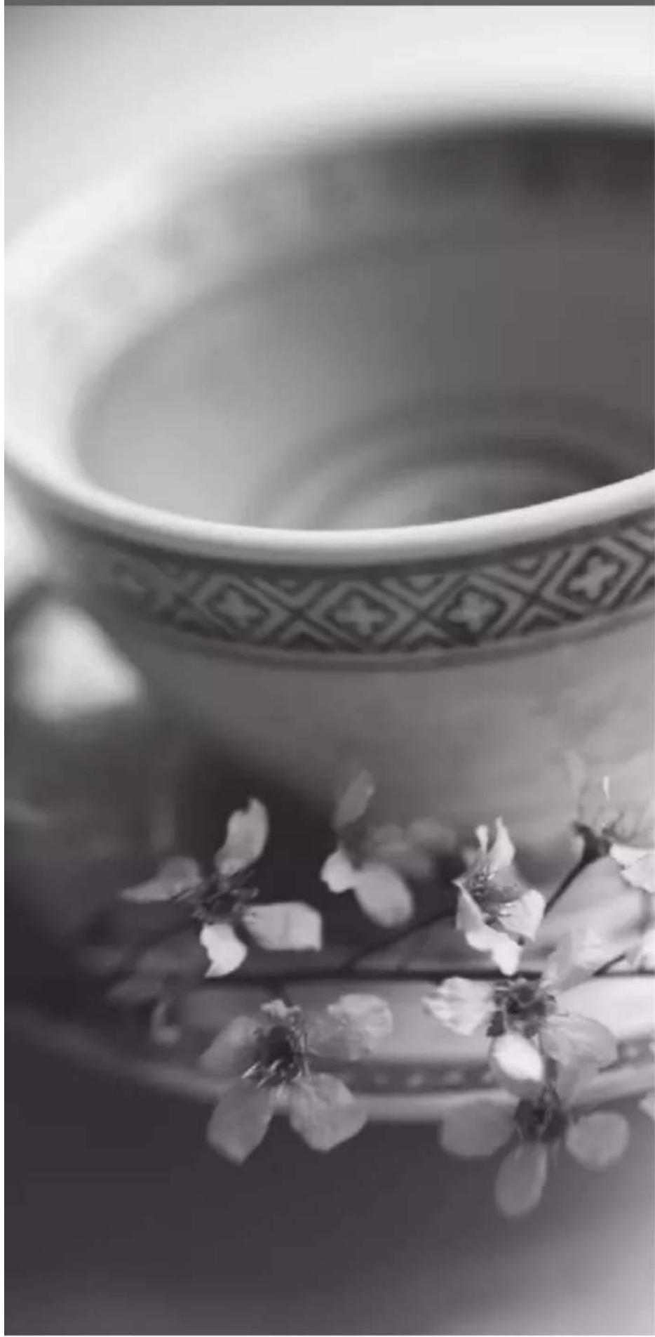 RIVIERA & BAR BTH530 - objets d'art culinaire - 1