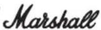 MARSHALL AS50D - 后面板功能 - 1