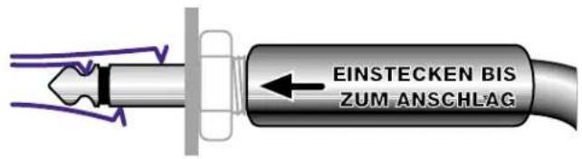 FENDER Acoutasonic SFX II - LINE OUT-Buchsen - 1