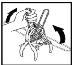VICTOR Out OSight - Pour régler les pièges à Taupe : - 2