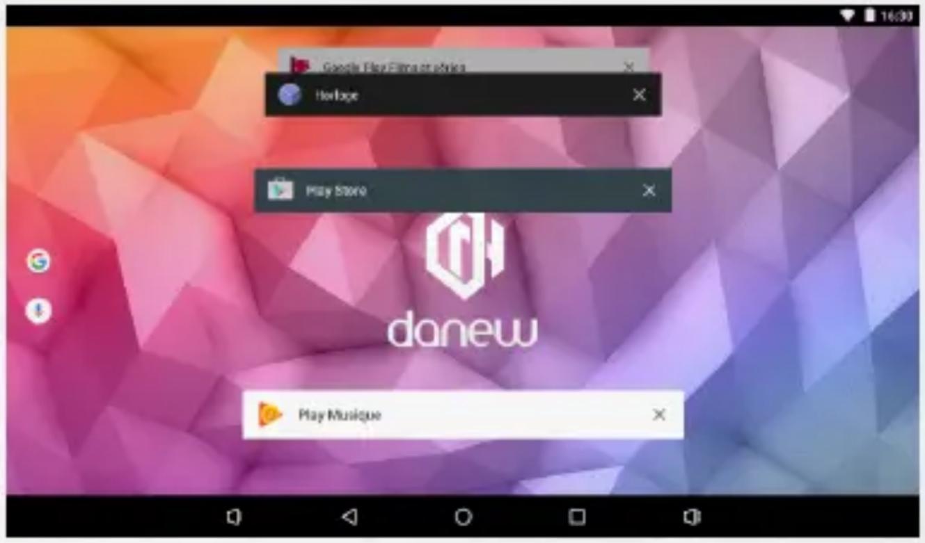 DANEW Dslide 1016 - Utilisation de l'écran d'accueil - 6
