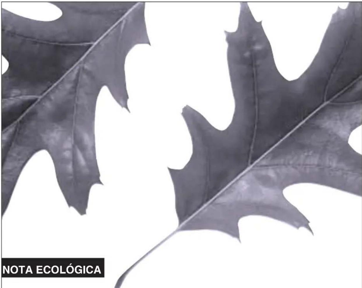 FAGOR 2F107 - ADVERTENCIAS SOBRE EL MEDIO AMBIENTE - 1