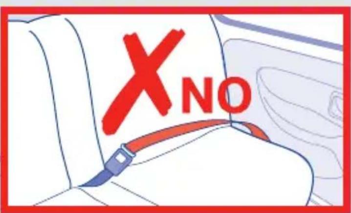 Foppapedretti Kite - FORPAPEDREIT® - 19