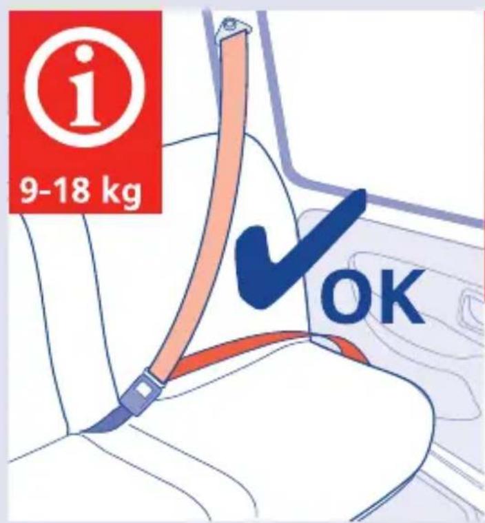 Foppapedretti Kite - FORPAPEDREIT® - 18