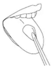 Waterpik WF02E1011 - Embout Brosse à dents - 1