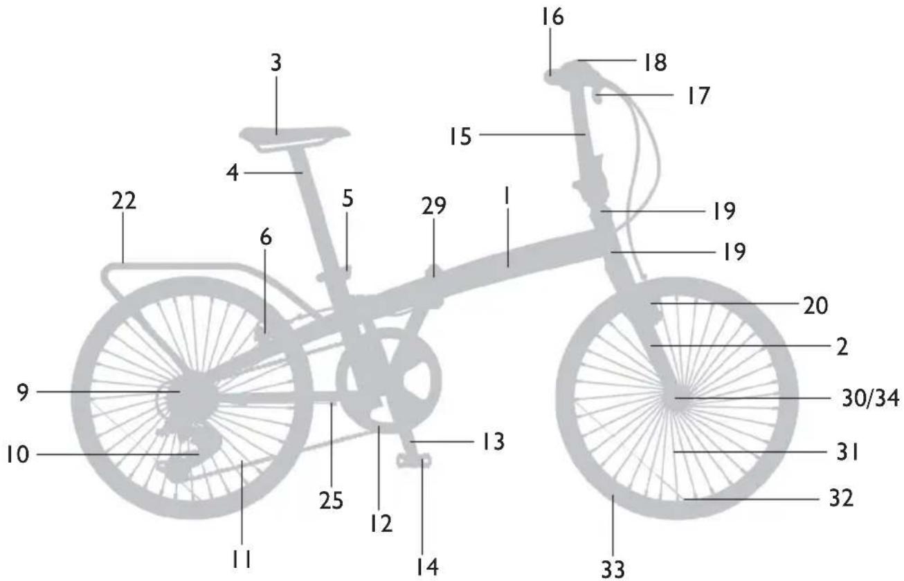 Monty Swing - TRIAL - 3