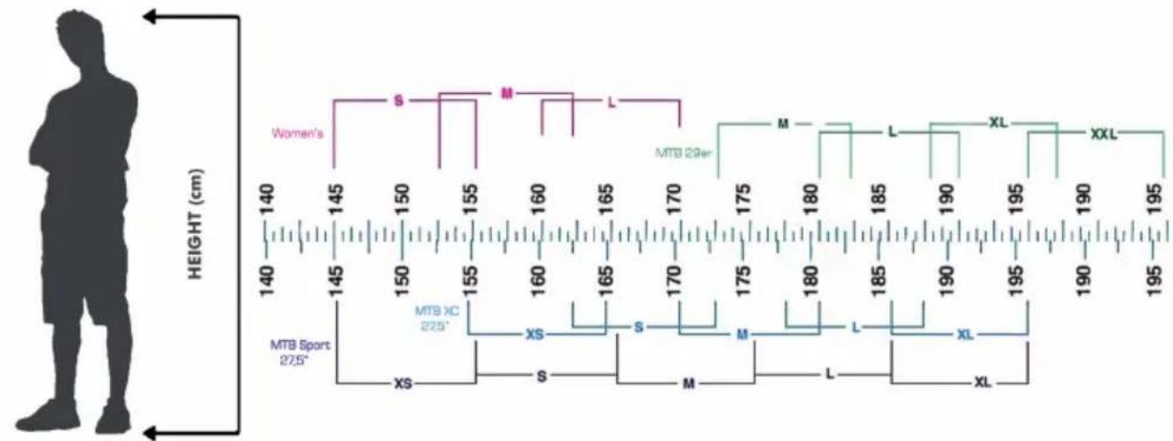 Monty KY19 - CHOIX DE LA TAILLE CORRECTE - 1
