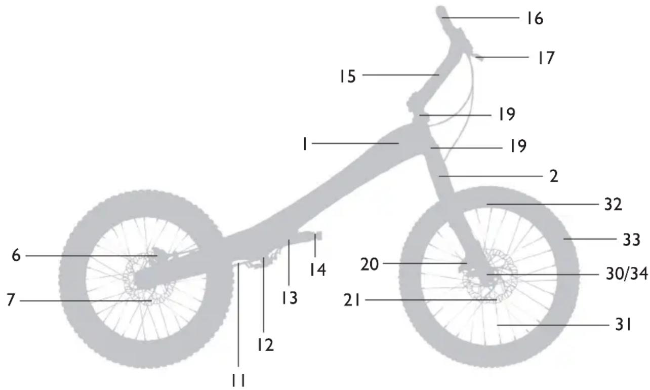Monty KY19 - TRIAL - 1