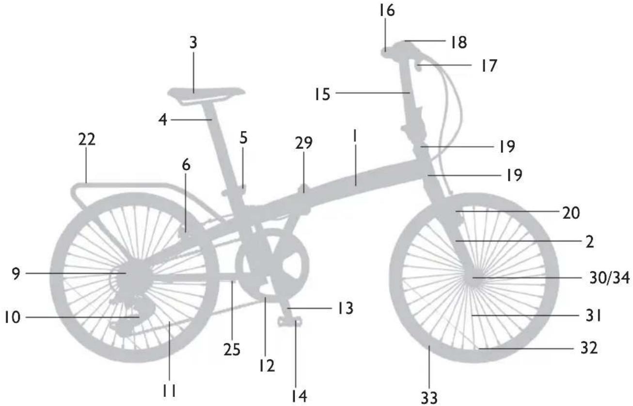 Monty KY19 - TRIAL - 3