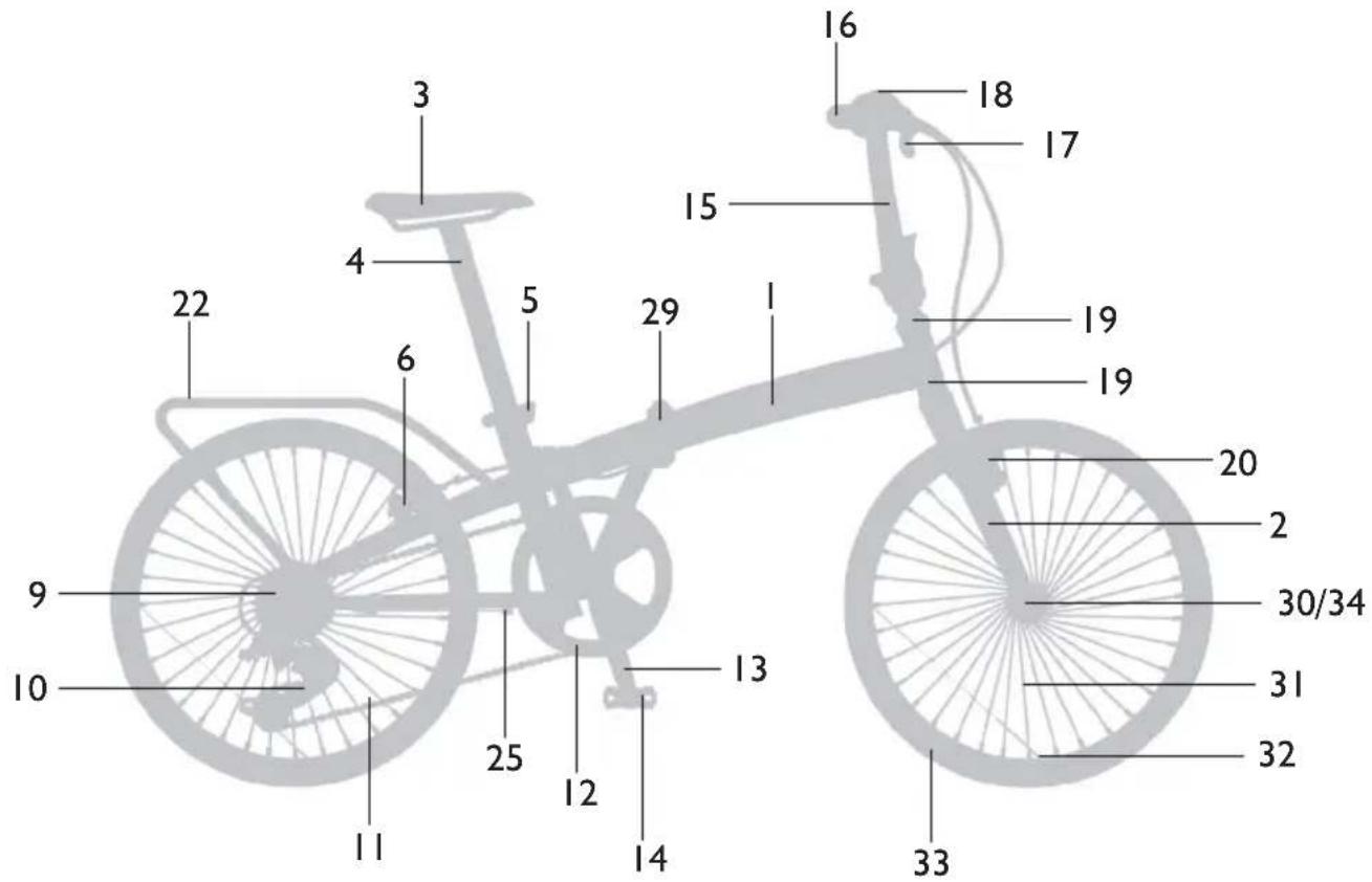 Monty KY12 - TRIAL - 3