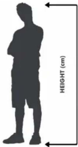 Monty Kaizen 219 - MAXIMUM WEIGHT LIMITS - 2