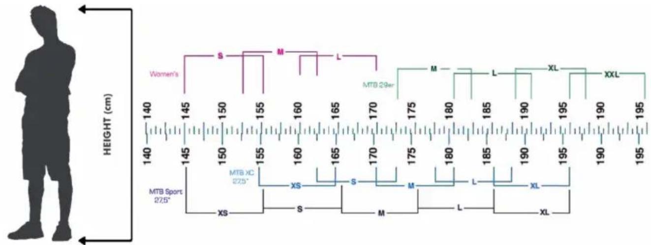 Monty Fixie - ELECCION DE LA TALLA CORRECTA - 1