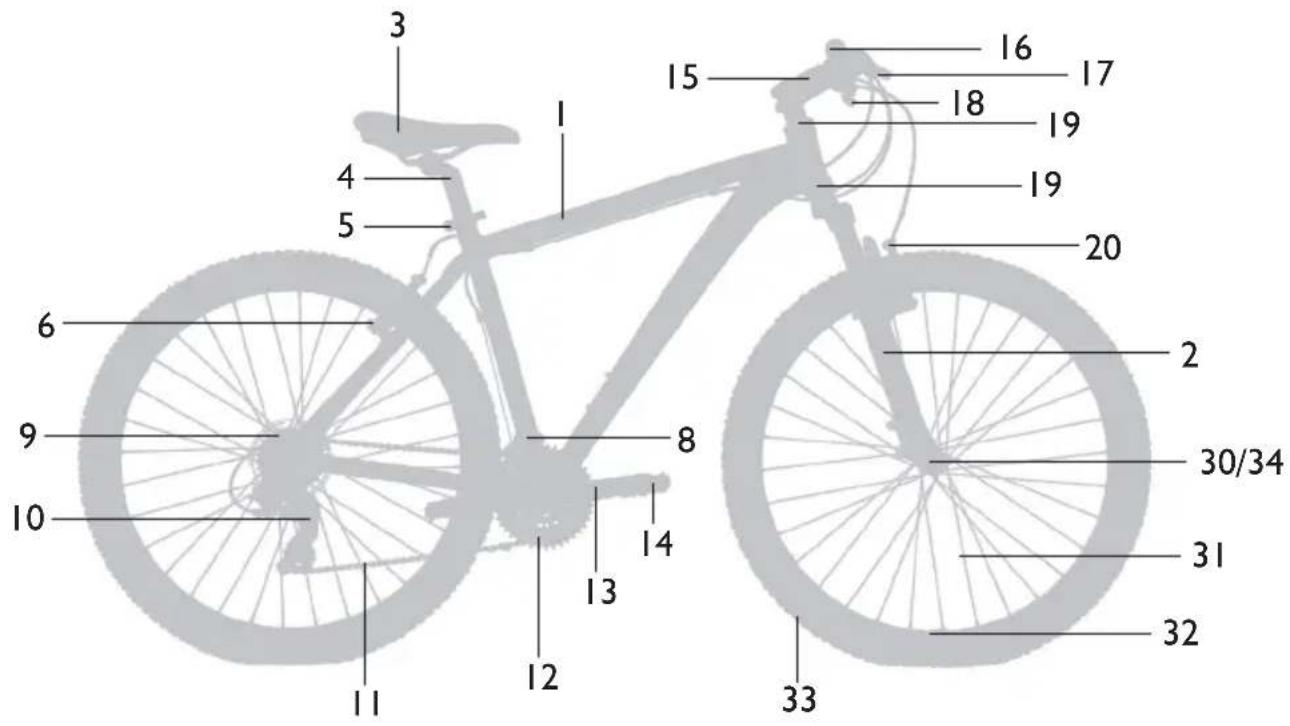 Monty Fixie - TRIAL - 2