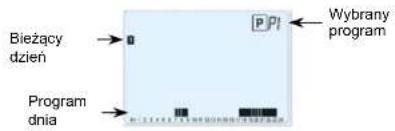Watts BT DPRF01 - Tryb Program - 2