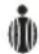 MEDISANA PSB - Evaluation of the proportion of body fat - 2