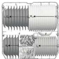 SABA LVS13C45GZ17W - Loading the upper and lower baskets - 2