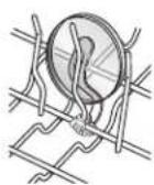 MAYTAG MDB8951BWW - Attaches fixes - 1