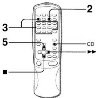 AIWA NSXA909 - PROGRAMA DE KARAOKE - 1