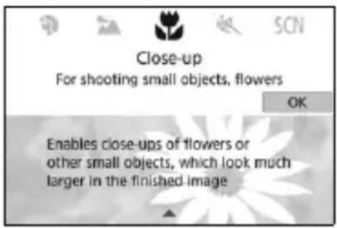 CANON EOS Rebel T7i - Turn the Mode Dial. - 1