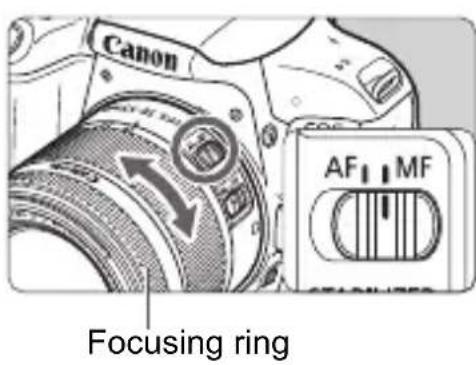 CANON EOS Rebel T7i - MF: Manual Focus - 1