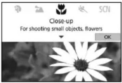 CANON EOS Rebel T7i - Select [Enable]. - 1