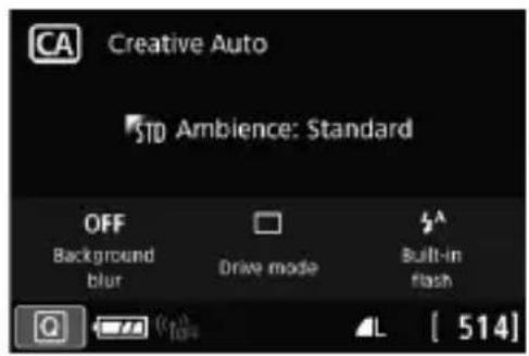 CANON EOS Rebel T7i - Sample Screens - 2